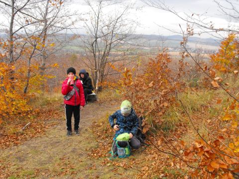 XXXIV Rajd Wzgórz Strzelińskich s44 - PTTK Strzelin