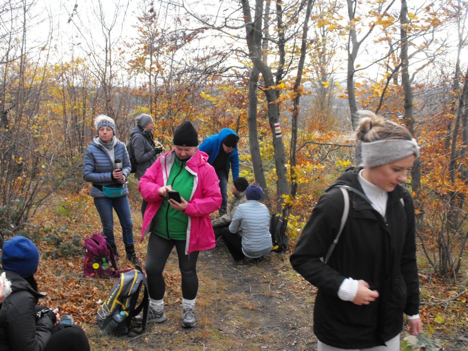 XXXIV Rajd Wzgórz Strzelińskich s002 - PTTK Strzelin