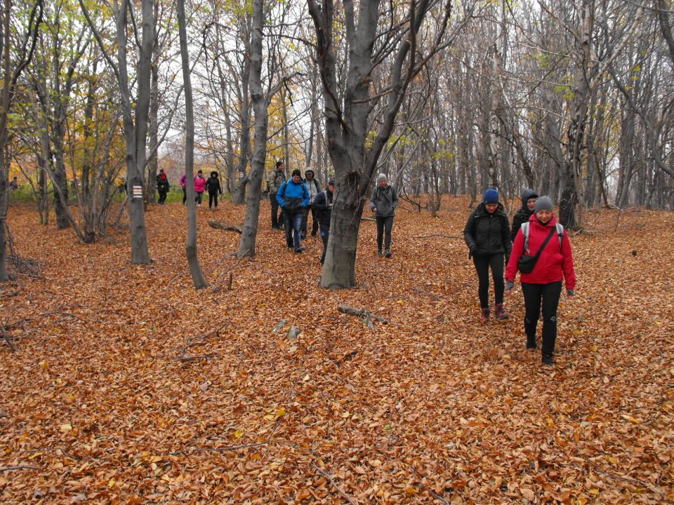 XXXIV Rajd Wzgórz Strzelińskich s002 - PTTK Strzelin