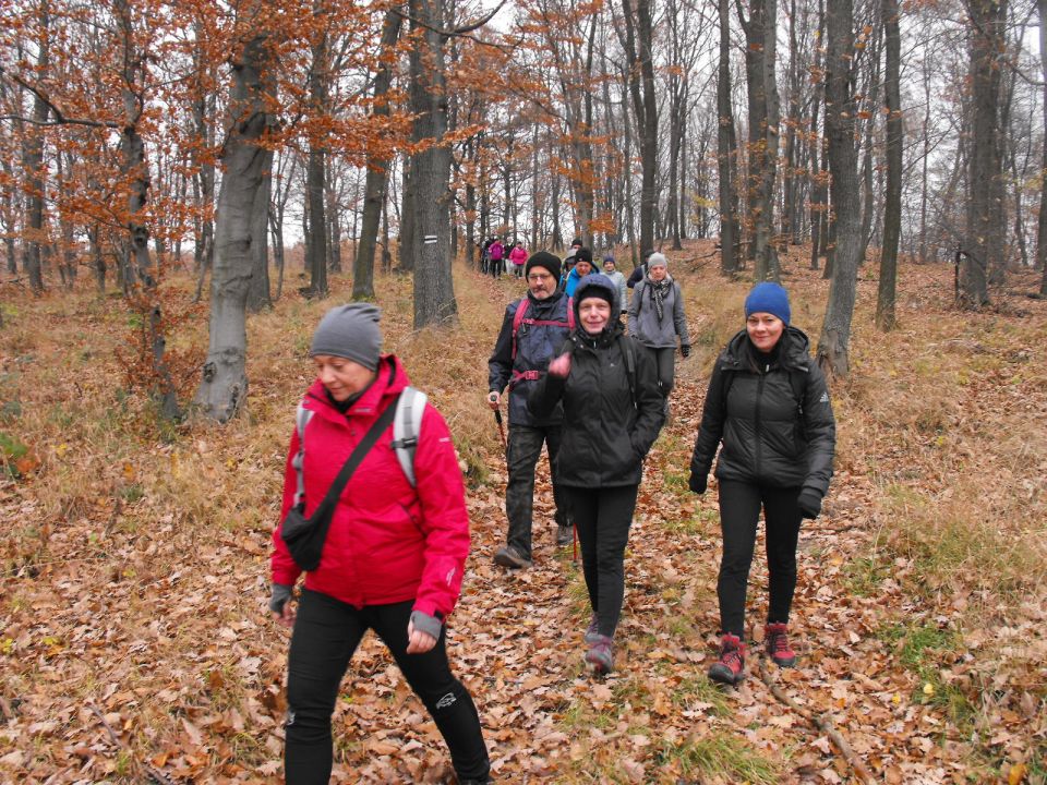 XXXIV Rajd Wzgórz Strzelińskich s002 - PTTK Strzelin