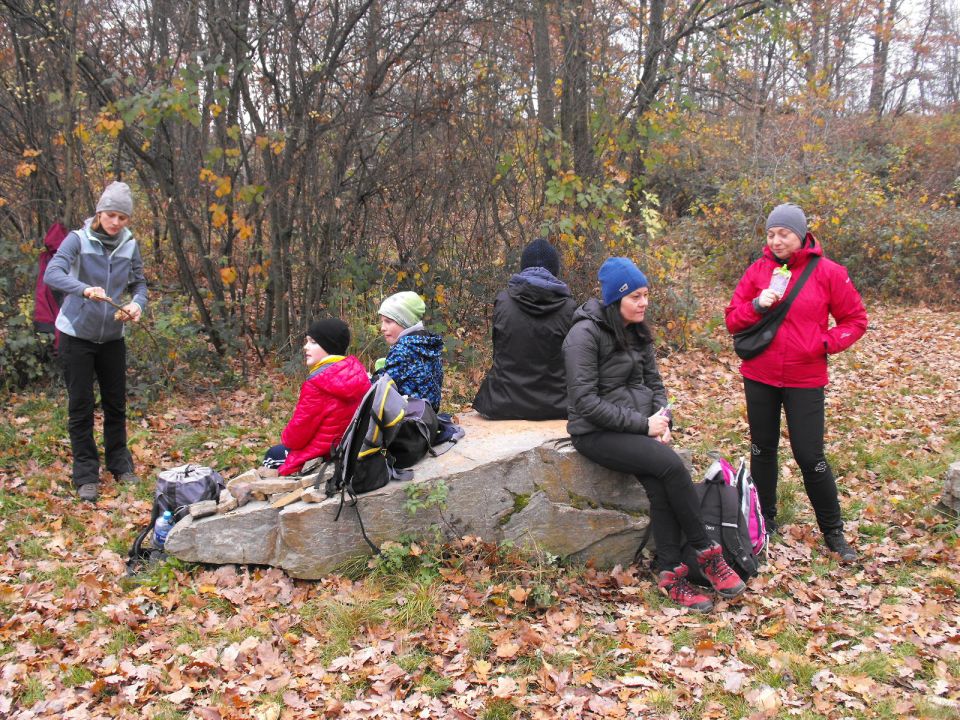 XXXIV Rajd Wzgórz Strzelińskich s002 - PTTK Strzelin