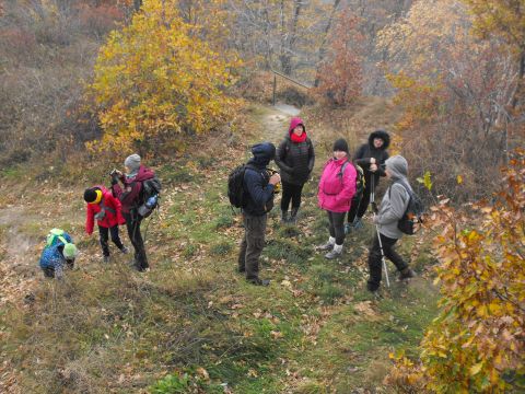 XXXIV Rajd Wzgórz Strzelińskich s66 - PTTK Strzelin