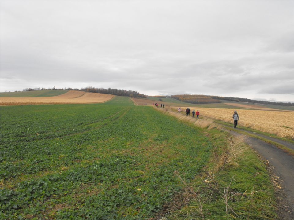 XXXIV Rajd Wzgórz Strzelińskich s002 - PTTK Strzelin