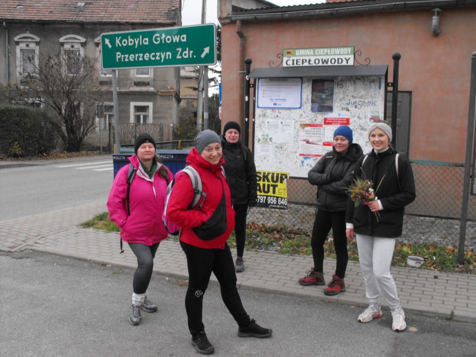 XXXIV Rajd Wzgórz Strzelińskich s002 - PTTK Strzelin