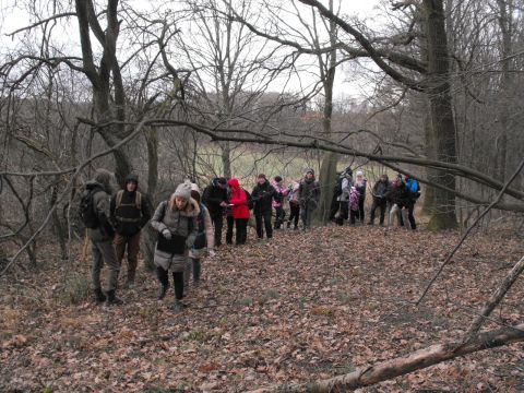 XXXV Rajd Wzgórz Strzelińskich s16 - PTTK Strzelin