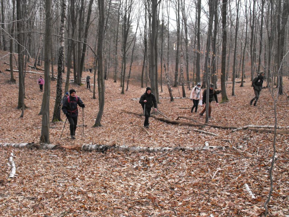 XXXV Rajd Wzgórz Strzelińskich s002 - PTTK Strzelin