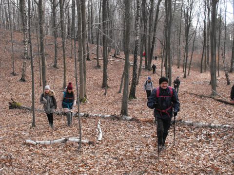 XXXV Rajd Wzgórz Strzelińskich s20 - PTTK Strzelin