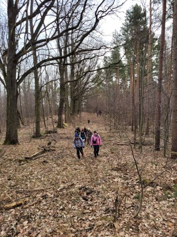 XXXV Rajd Wzgórz Strzelińskich s22 - PTTK Strzelin