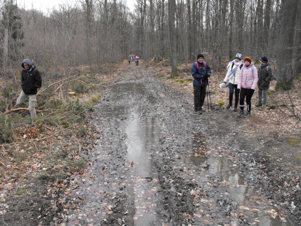 XXXV Rajd Wzgórz Strzelińskich s002 - PTTK Strzelin