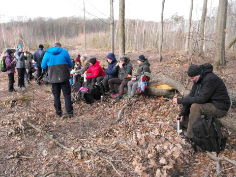 XXXV Rajd Wzgórz Strzelińskich s31 - PTTK Strzelin