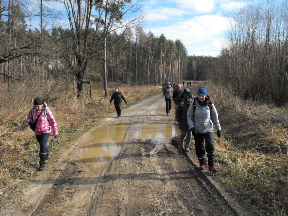 XXXV Rajd Wzgórz Strzelińskich s002 - PTTK Strzelin