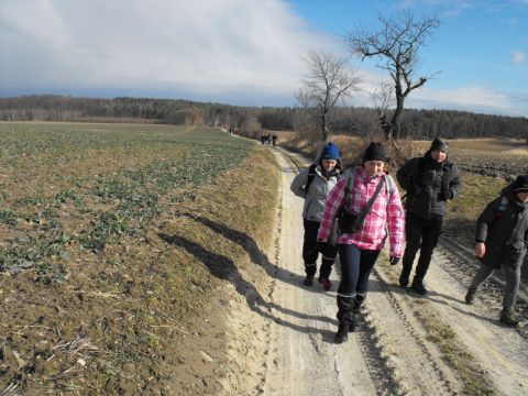 XXXV Rajd Wzgórz Strzelińskich s39 - PTTK Strzelin