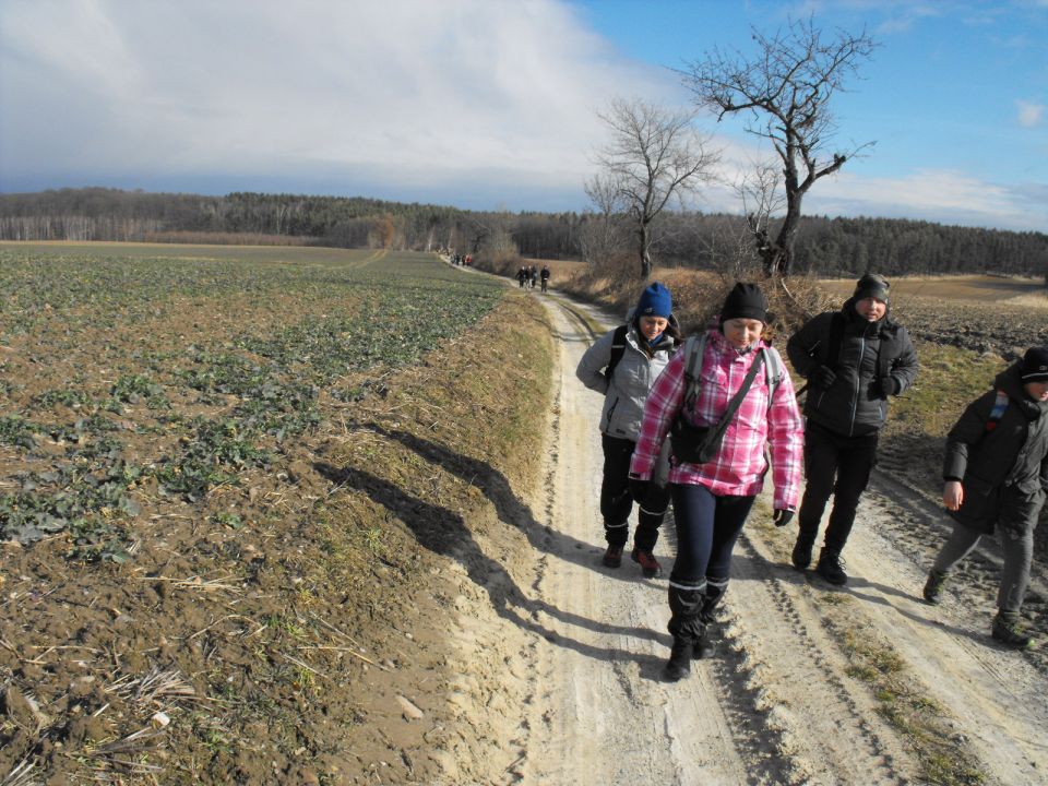 XXXV Rajd Wzgórz Strzelińskich s002 - PTTK Strzelin