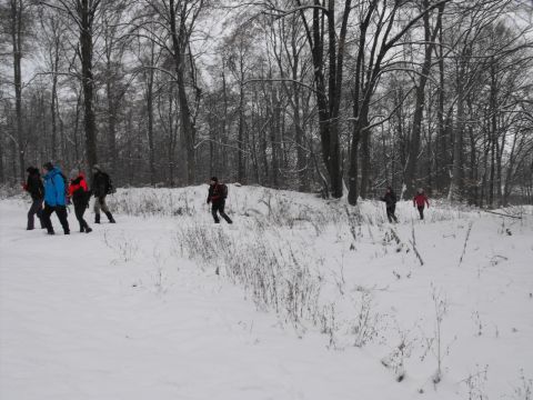 XXXVI Rajd Wzgórz Strzelińskich s10 - PTTK Strzelin