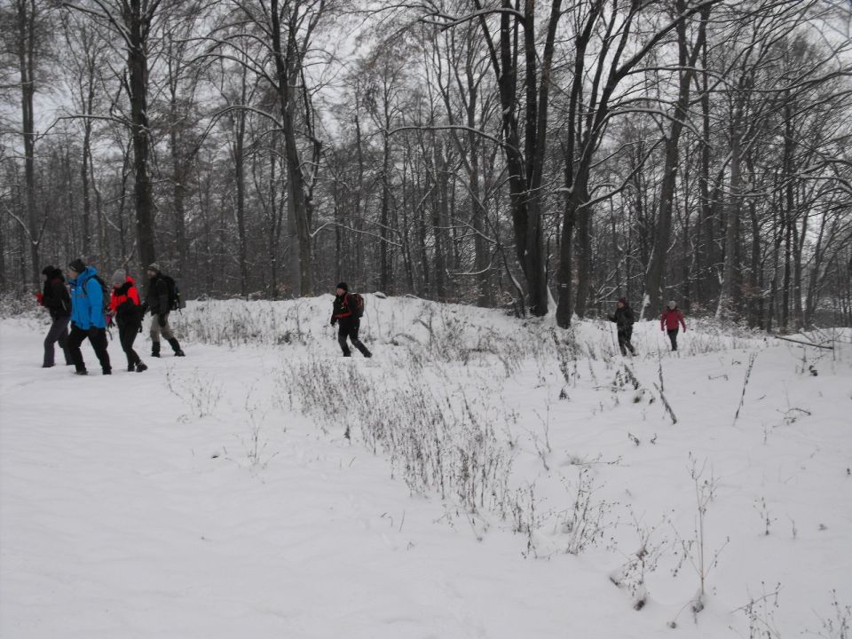 XXXVI Rajd Wzgórz Strzelińskich s002 - PTTK Strzelin