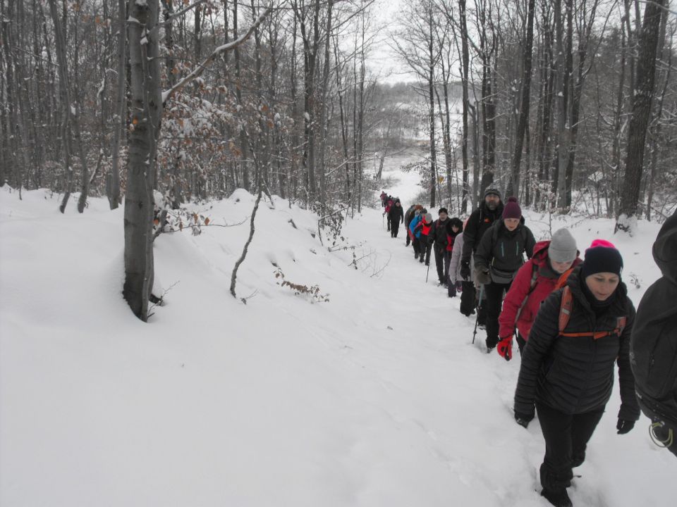 XXXVI Rajd Wzgórz Strzelińskich s002 - PTTK Strzelin