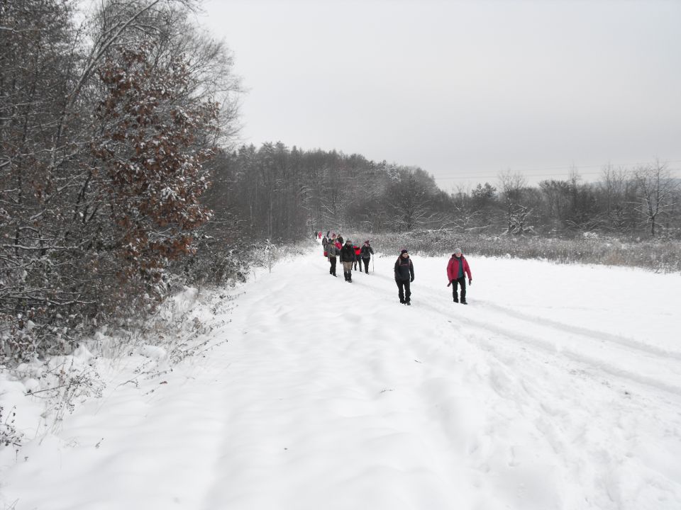XXXVI Rajd Wzgórz Strzelińskich s002 - PTTK Strzelin