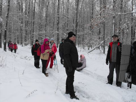 XXXVI Rajd Wzgórz Strzelińskich s16 - PTTK Strzelin