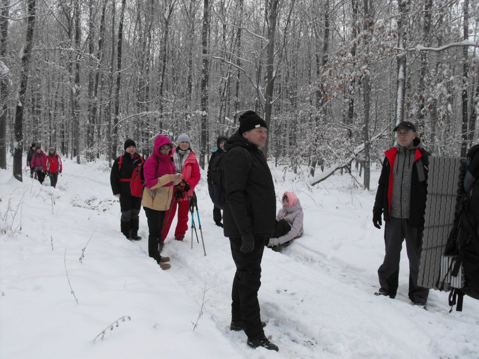 XXXVI Rajd Wzgórz Strzelińskich s002 - PTTK Strzelin