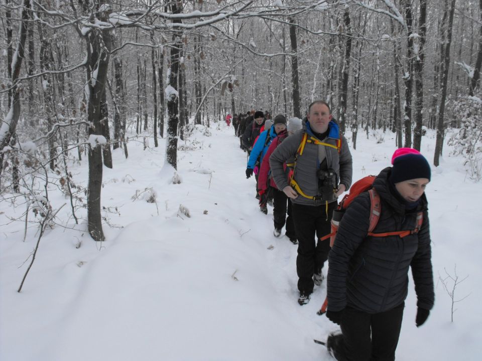 XXXVI Rajd Wzgórz Strzelińskich s002 - PTTK Strzelin