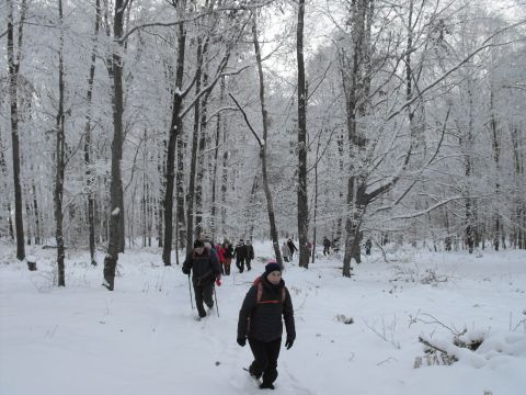 XXXVI Rajd Wzgórz Strzelińskich s18 - PTTK Strzelin