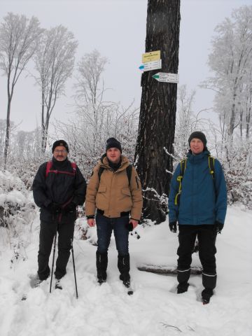 XXXVI Rajd Wzgórz Strzelińskich s19 - PTTK Strzelin