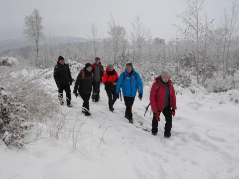 XXXVI Rajd Wzgórz Strzelińskich s20 - PTTK Strzelin