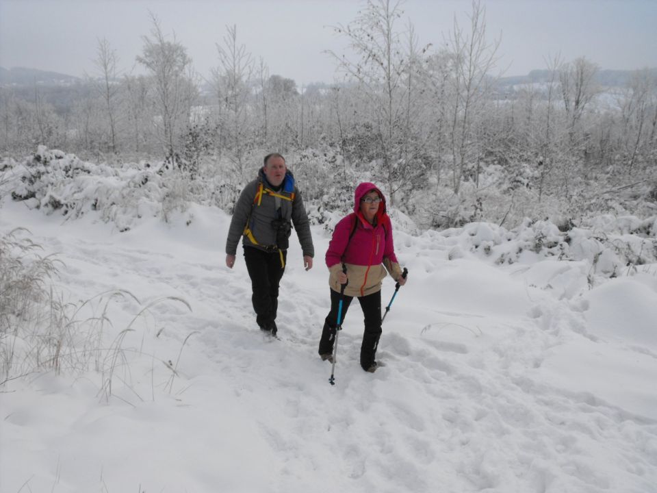 XXXVI Rajd Wzgórz Strzelińskich s002 - PTTK Strzelin