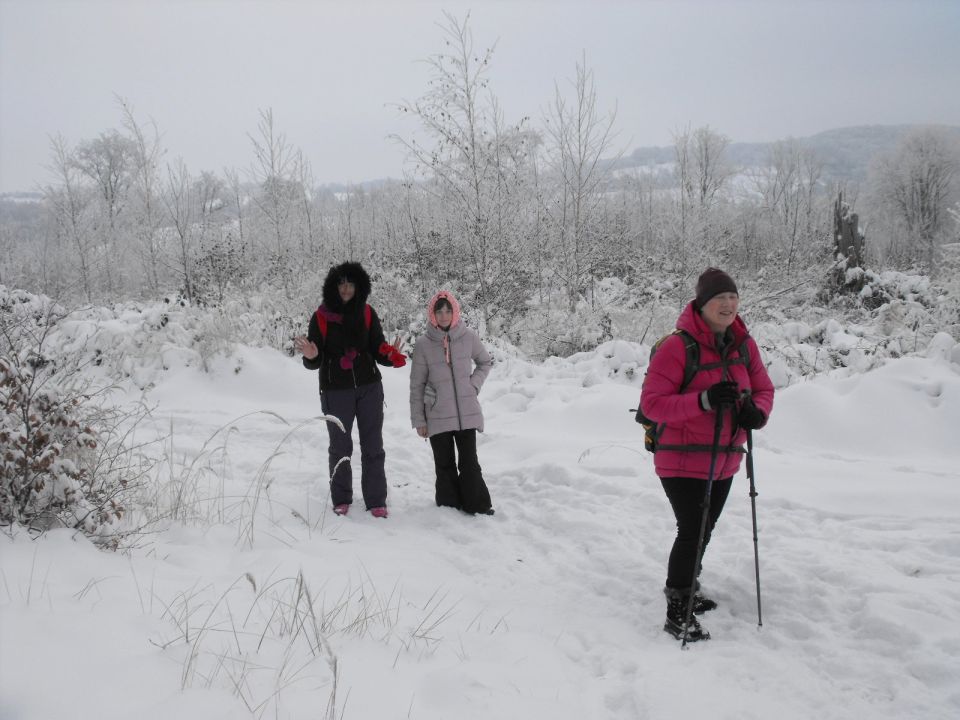 XXXVI Rajd Wzgórz Strzelińskich s002 - PTTK Strzelin