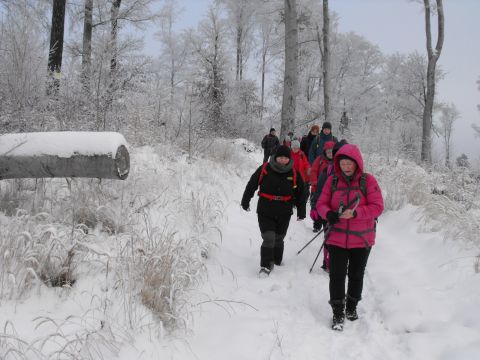 XXXVI Rajd Wzgórz Strzelińskich s30 - PTTK Strzelin