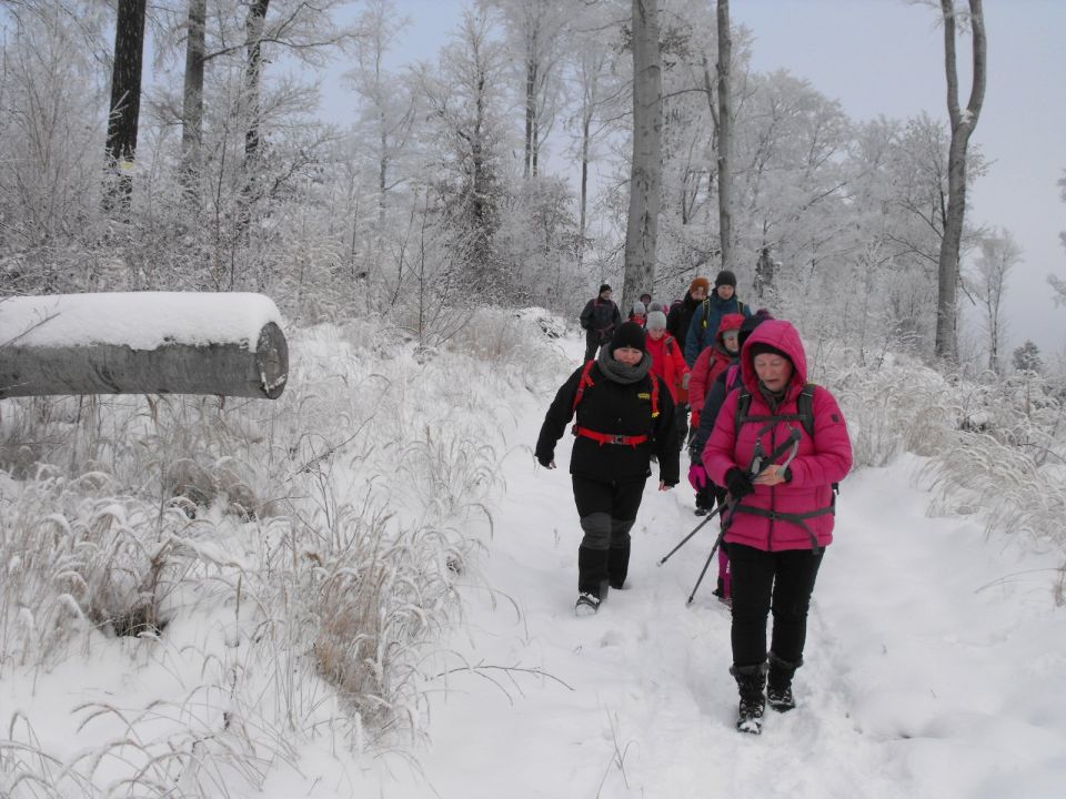 XXXVI Rajd Wzgórz Strzelińskich s002 - PTTK Strzelin