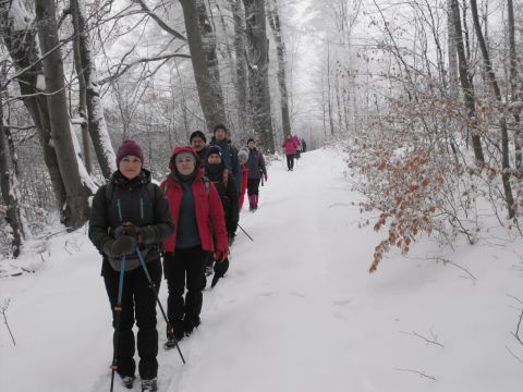XXXVI Rajd Wzgórz Strzelińskich s31 - PTTK Strzelin