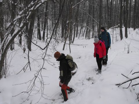 XXXVI Rajd Wzgórz Strzelińskich s34 - PTTK Strzelin