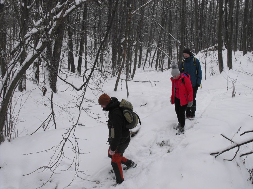 XXXVI Rajd Wzgórz Strzelińskich s002 - PTTK Strzelin