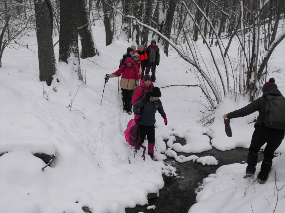 XXXVI Rajd Wzgórz Strzelińskich s002 - PTTK Strzelin