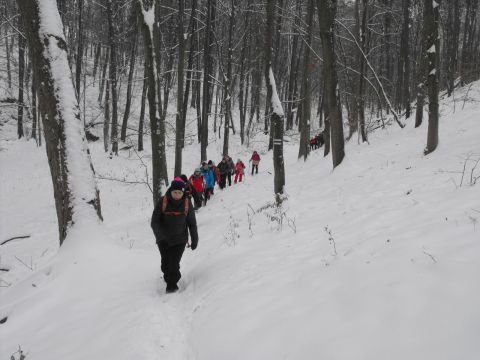 XXXVI Rajd Wzgórz Strzelińskich s42 - PTTK Strzelin