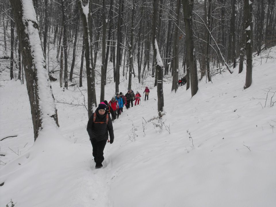 XXXVI Rajd Wzgórz Strzelińskich s002 - PTTK Strzelin