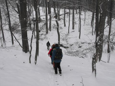 XXXVI Rajd Wzgórz Strzelińskich s43 - PTTK Strzelin