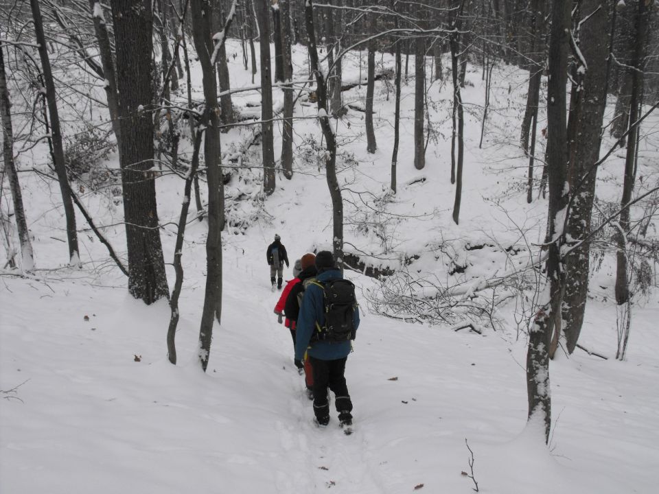 XXXVI Rajd Wzgórz Strzelińskich s002 - PTTK Strzelin