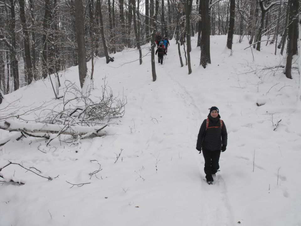 XXXVI Rajd Wzgórz Strzelińskich s002 - PTTK Strzelin