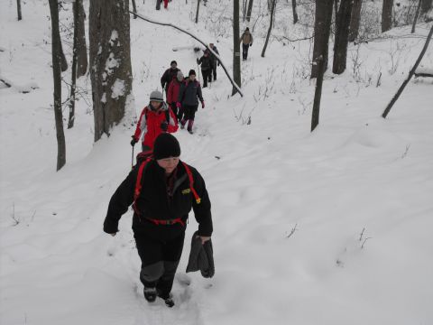 XXXVI Rajd Wzgórz Strzelińskich s46 - PTTK Strzelin