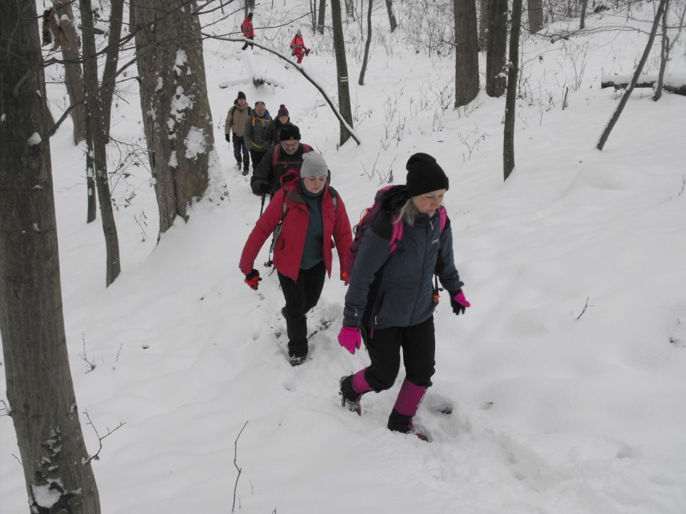 XXXVI Rajd Wzgórz Strzelińskich s002 - PTTK Strzelin