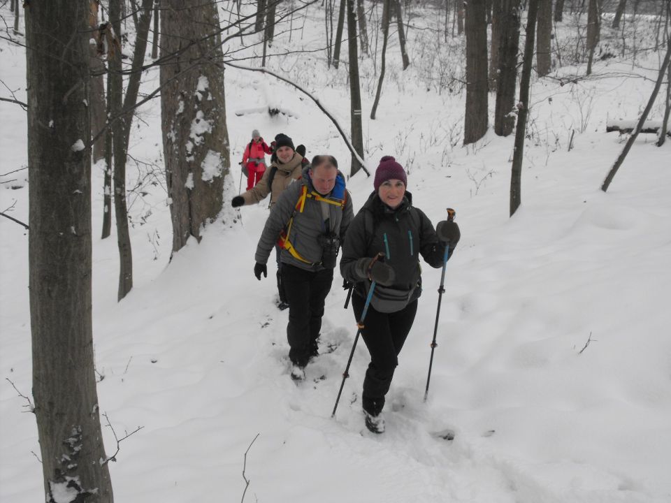 XXXVI Rajd Wzgórz Strzelińskich s002 - PTTK Strzelin