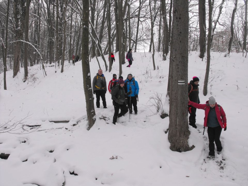 XXXVI Rajd Wzgórz Strzelińskich s002 - PTTK Strzelin