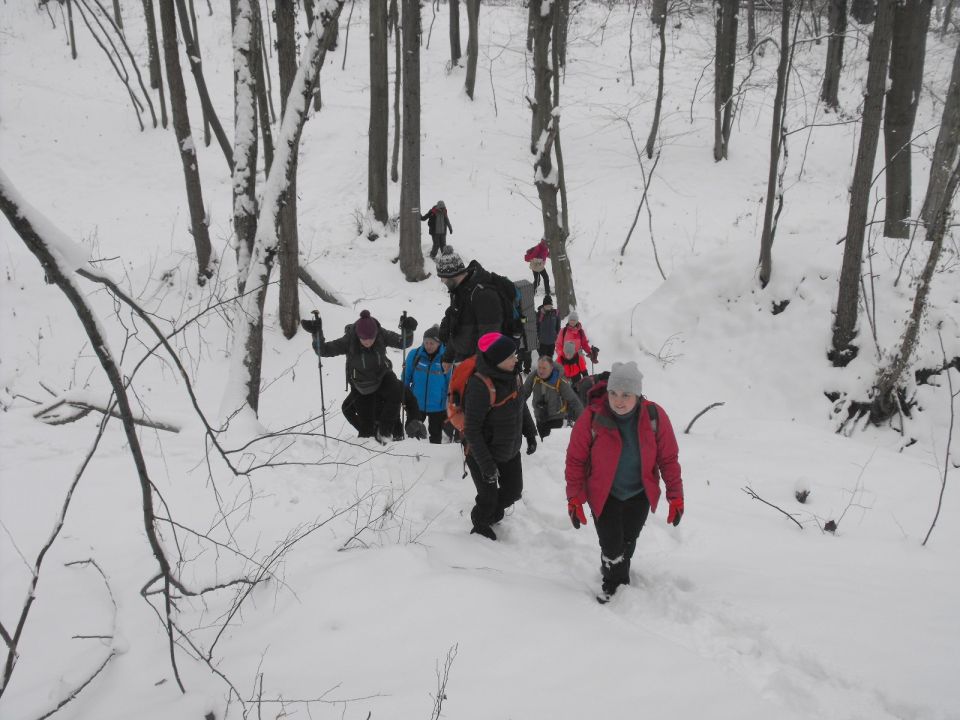 XXXVI Rajd Wzgórz Strzelińskich s002 - PTTK Strzelin