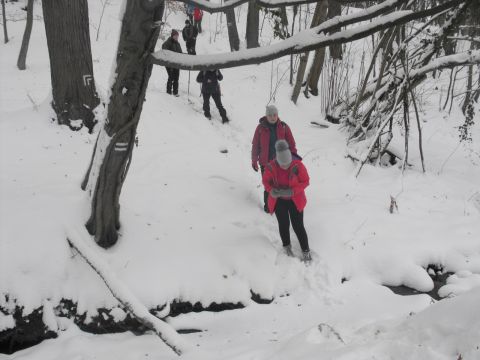 XXXVI Rajd Wzgórz Strzelińskich s54 - PTTK Strzelin