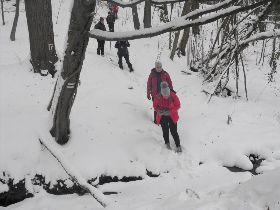 XXXVI Rajd Wzgórz Strzelińskich s002 - PTTK Strzelin