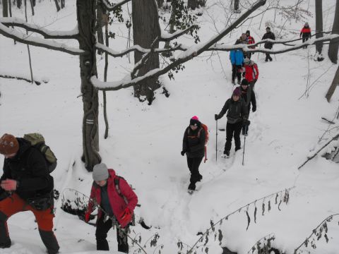 XXXVI Rajd Wzgórz Strzelińskich s55 - PTTK Strzelin