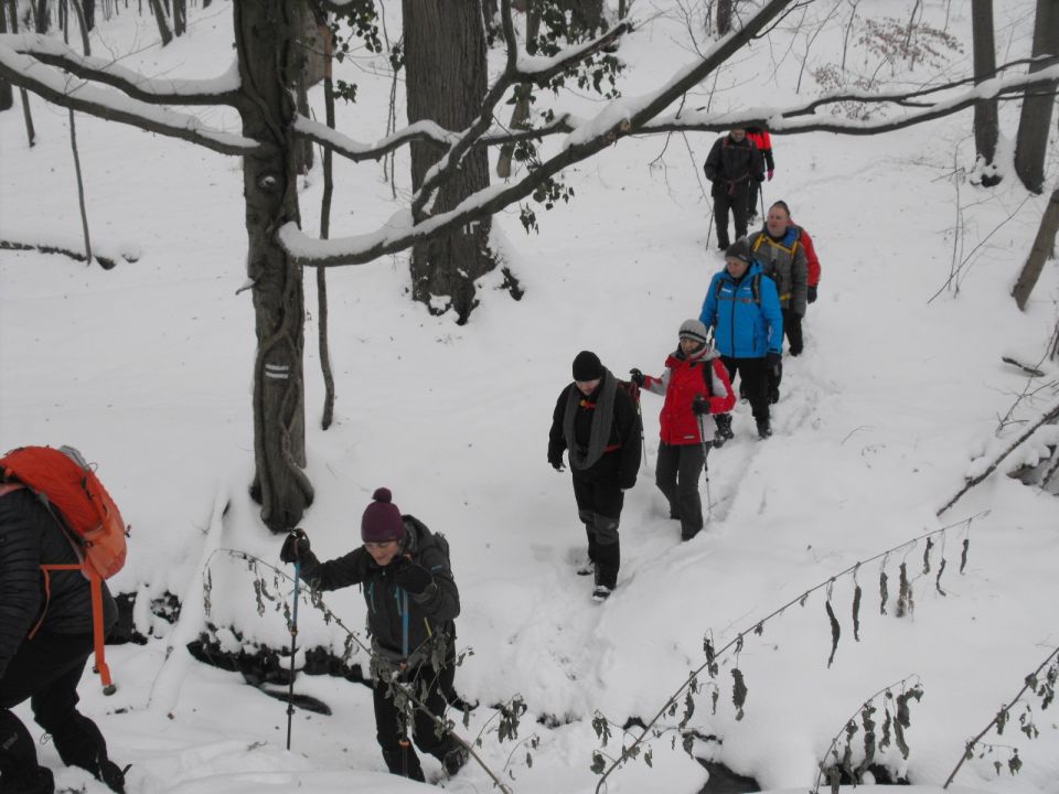 XXXVI Rajd Wzgórz Strzelińskich s002 - PTTK Strzelin