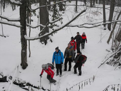 XXXVI Rajd Wzgórz Strzelińskich s57 - PTTK Strzelin
